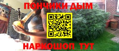 крисы Краснознаменск