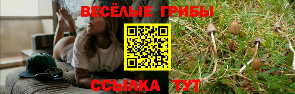 Галлюциногенные грибы ЛСД  Вход с VPN  Псилоцибиновые грибы Cubensis  Кохма 